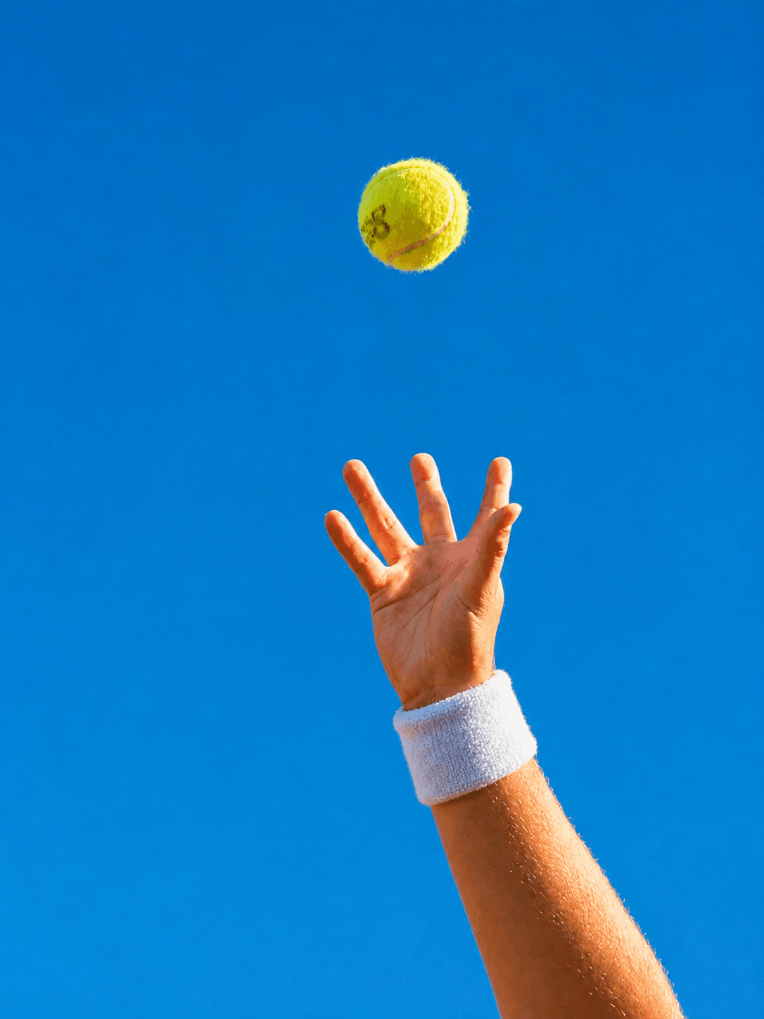 Balle de tennis tenue à la main
